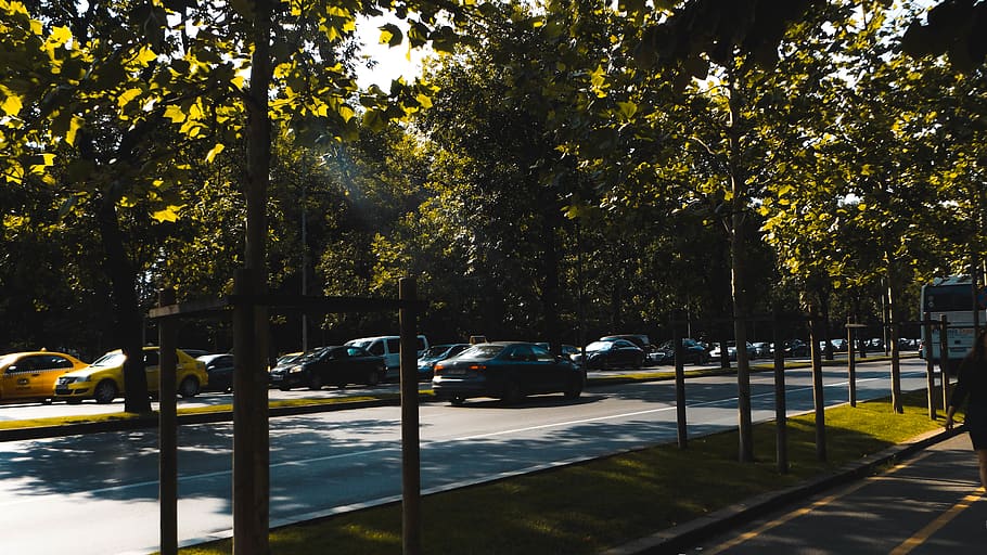 romania, bucharest, traffic, road, jam, trees, city, people HD wallpaper