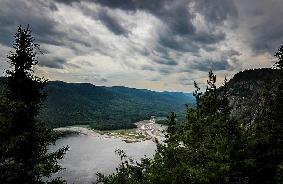 canada, quebec city, tree, cloud - sky, plant, beauty in nature HD wallpaper