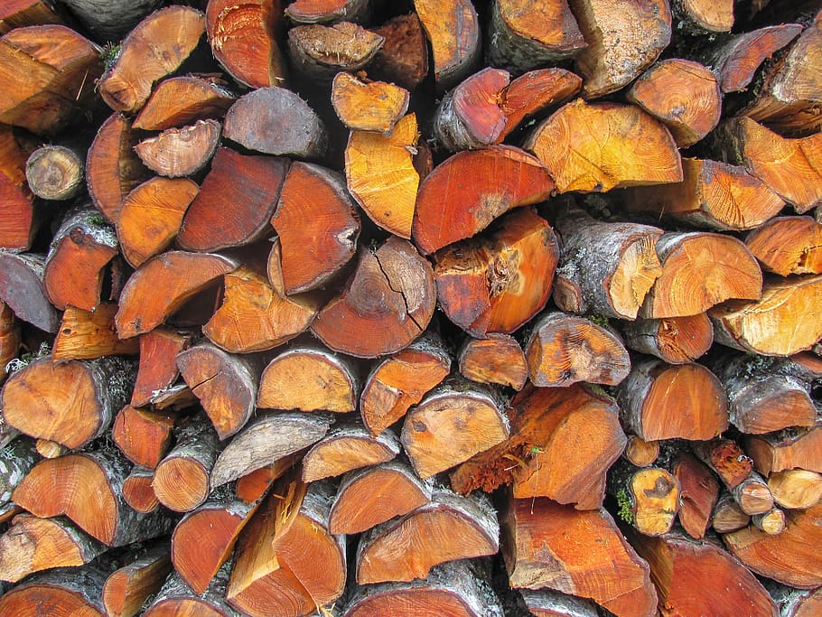 wood, logs, red, nature, tree, forest, firewood, colorful, full frame HD wallpaper