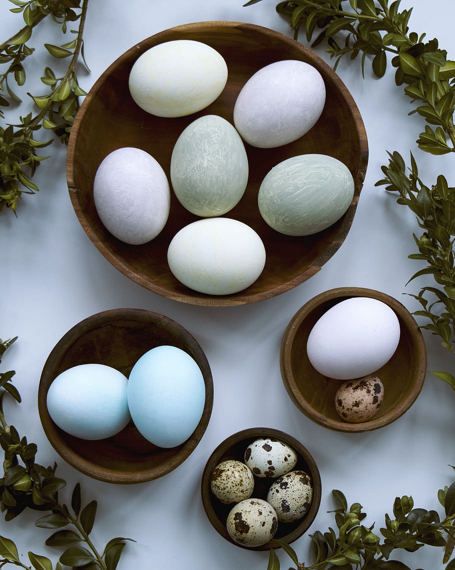 white eg on brown tray, egg, food, still life, indoors, wellbeing HD wallpaper