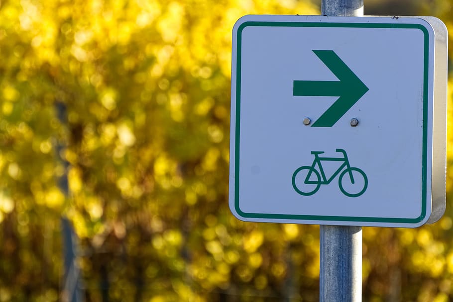bicycle path, shield, characters, symbol, fall foliage, autumn colours HD wallpaper