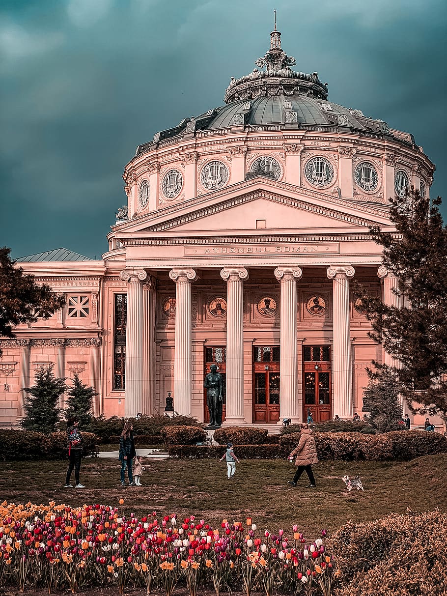 human, person, architecture, building, dome, urban, downtown HD wallpaper
