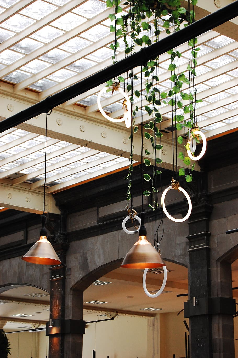 lamps, plants, interior, architecture, light, style, design HD wallpaper