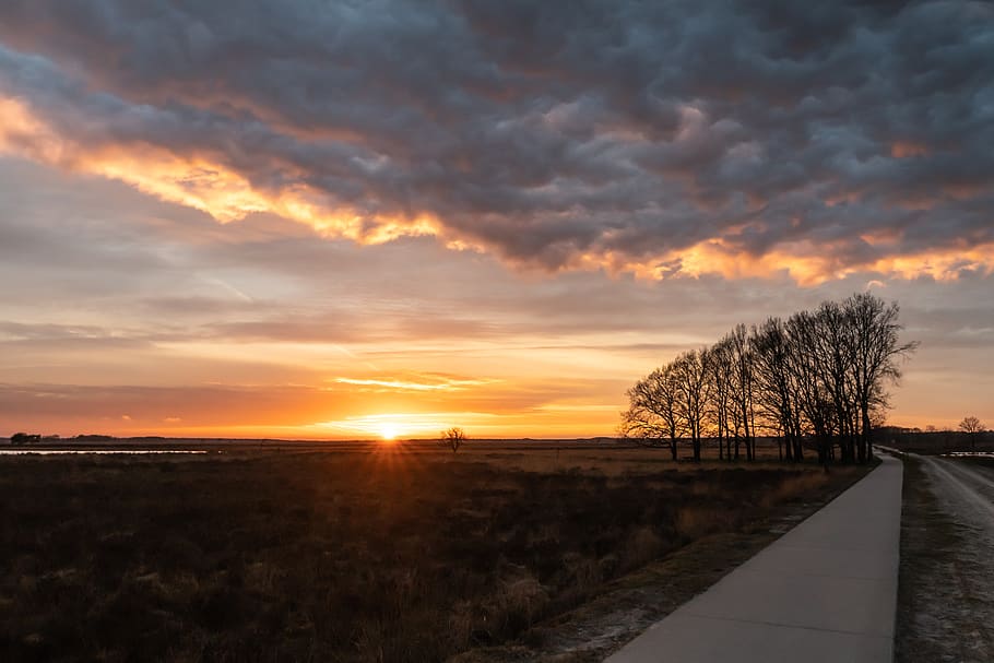 sunset, cycling, path, trees, nature, away, landscape, spring HD wallpaper