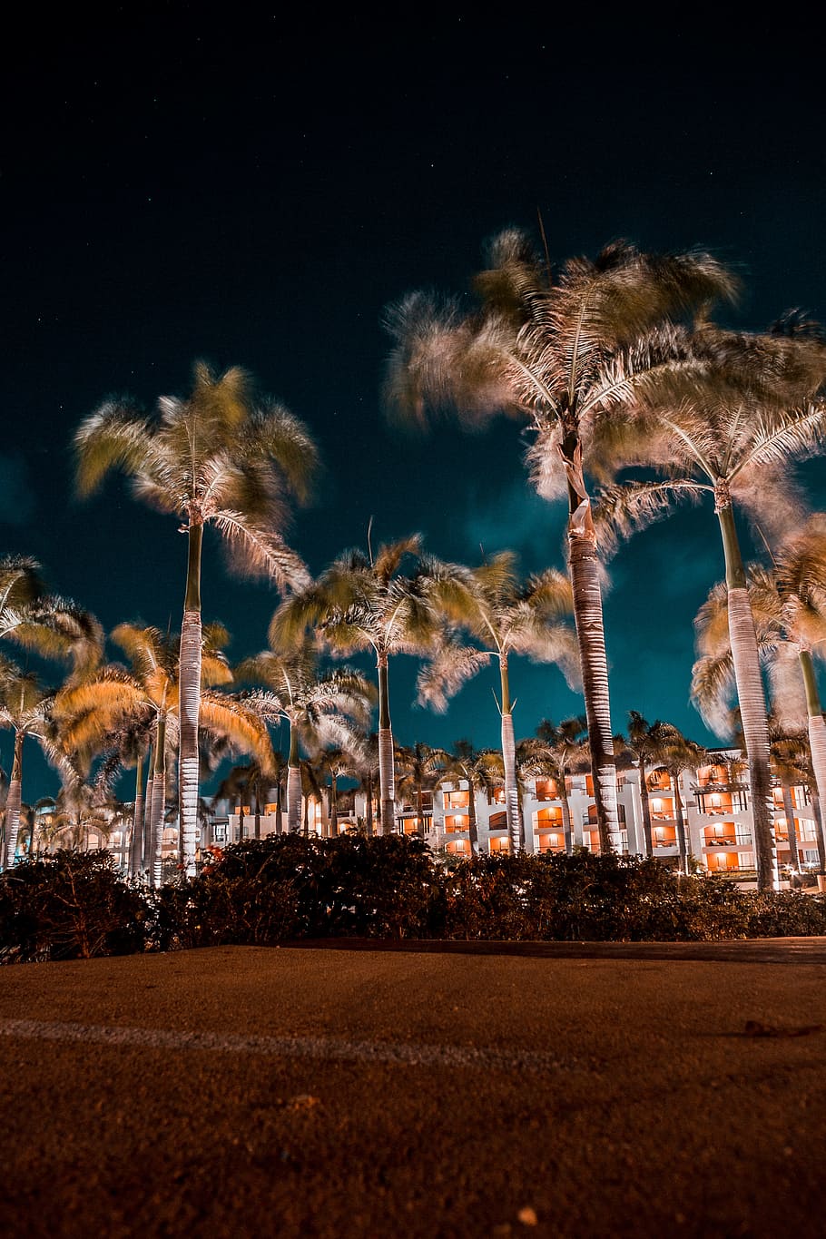 palm trees during nighttime, building, coast, hotel, resort, holiday, HD wallpaper