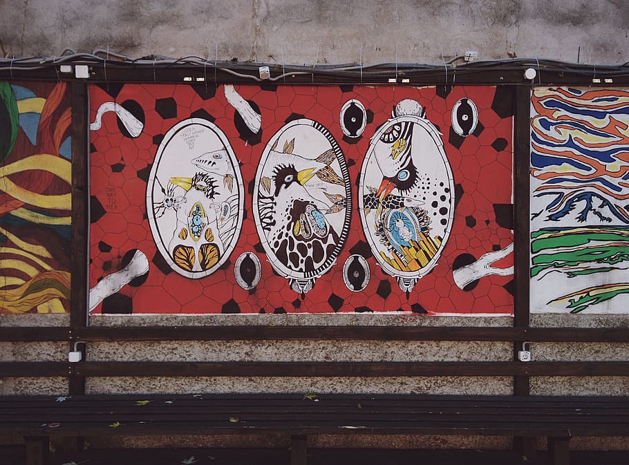 minsk, belarus, graffiti, art, birds, wall, no people, architecture HD wallpaper