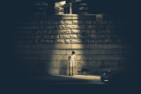 boy, alone, dog, night, urban, spooky, scary, dark, lamp post HD wallpaper