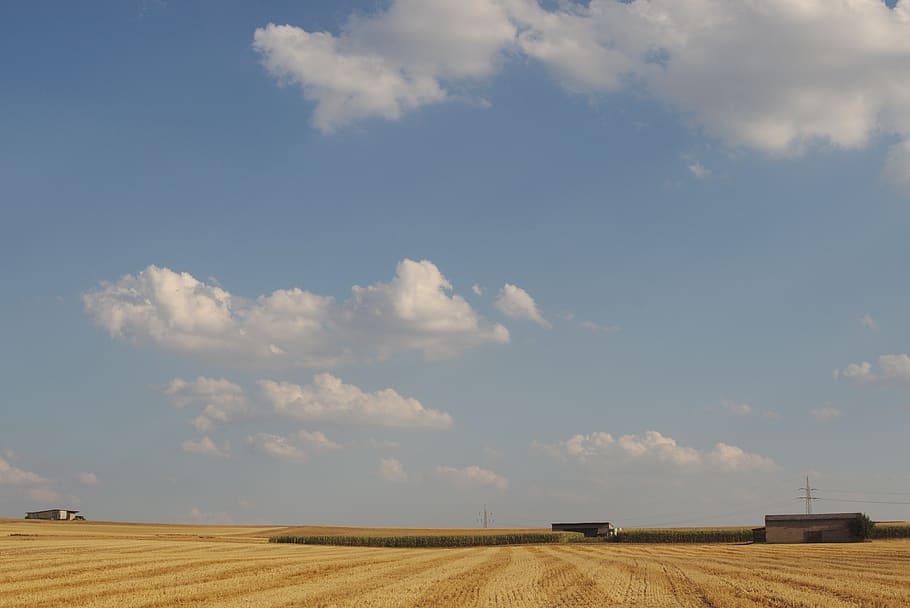 germany, agriculture, fields, wheat, grain, harvest, straw HD wallpaper