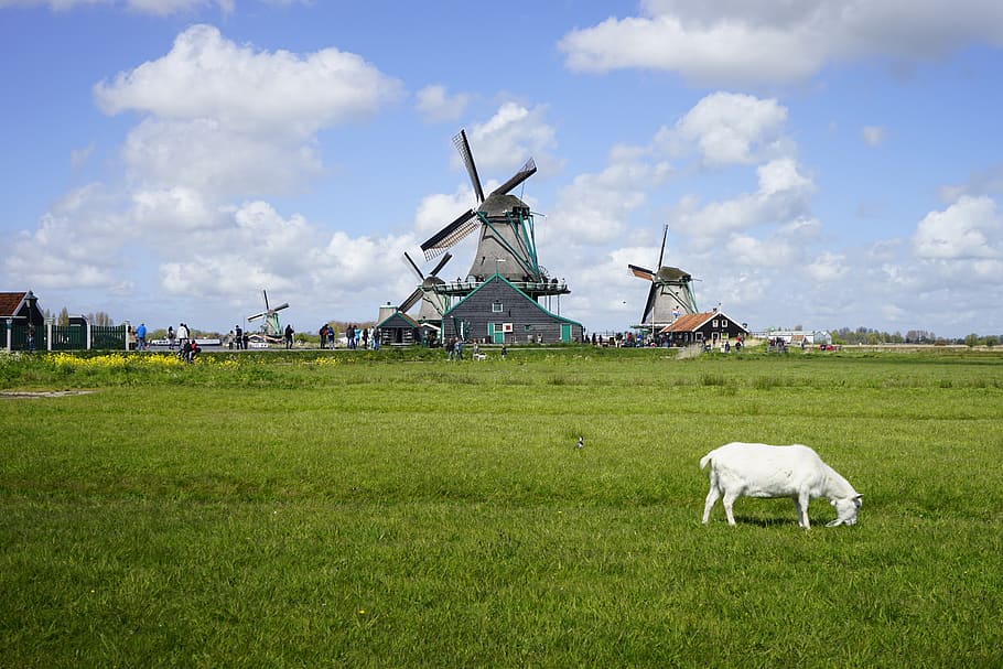 netherlands, amsterdam, wind turbine, wind power, renewable energy HD wallpaper
