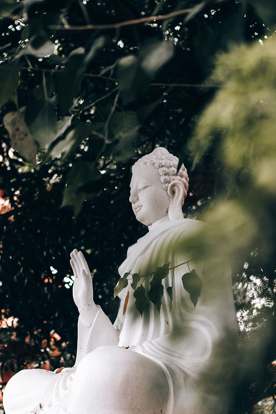 white Buddha statue, plant, nature, human representation, day HD wallpaper