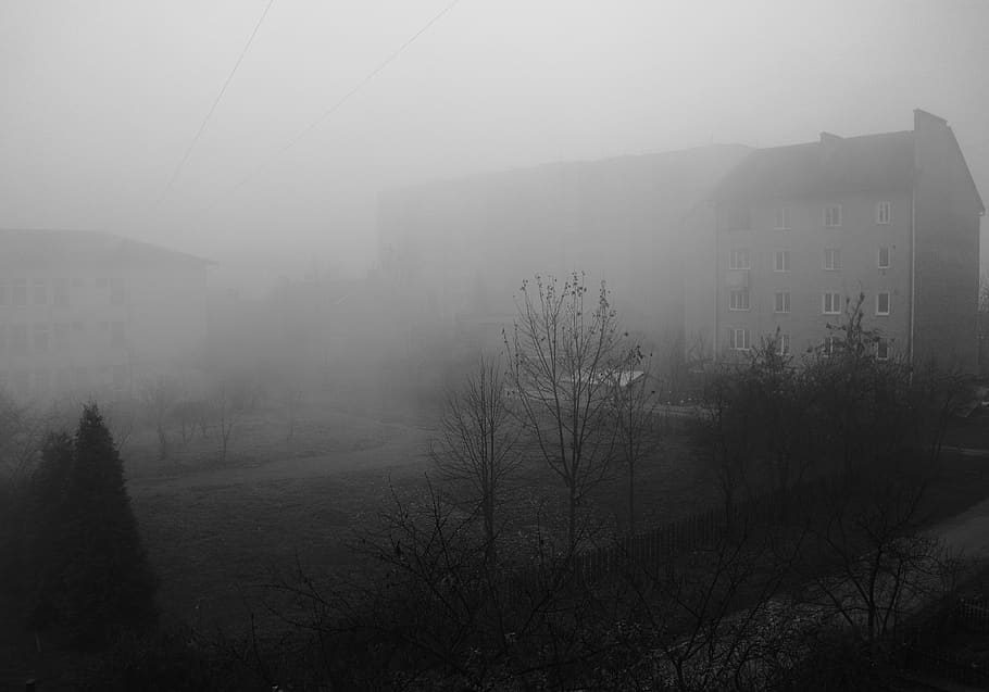 gray house covered with fogs, nature, weather, outdoors, mist HD wallpaper