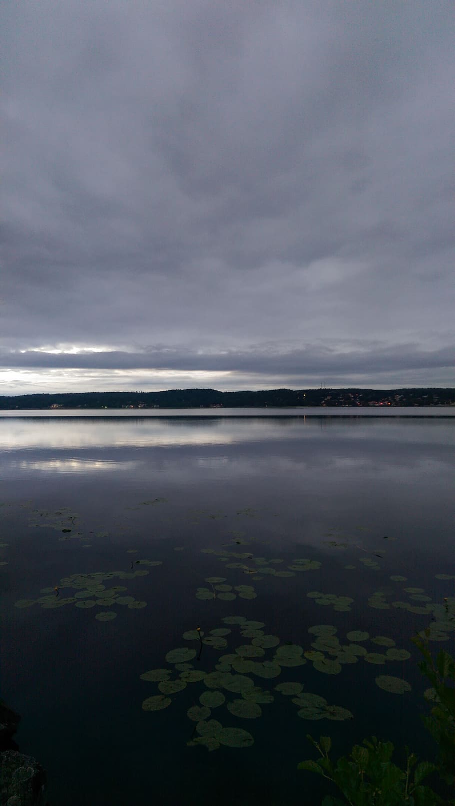 sverige, lerum, clouds, lake, water lily, sky, cloud - sky HD wallpaper