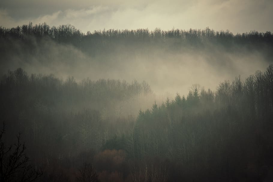 italy, decollatura, fall, cloudscape, cloudy, woodland, winter HD wallpaper