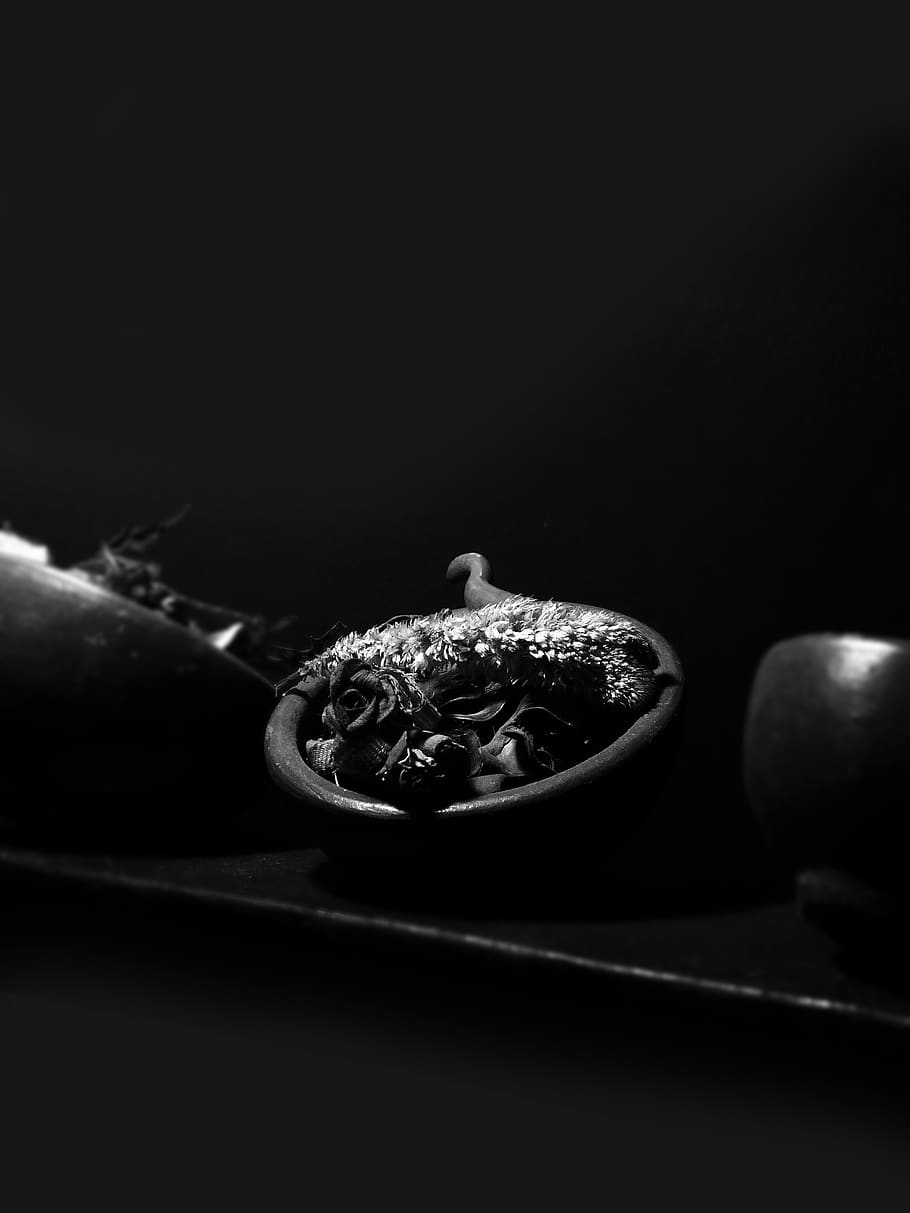 food and drink, healthy eating, indoors, wellbeing, studio shot HD wallpaper