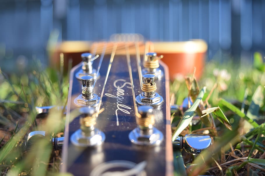 guitar, seagull, acoustic, strings, music, backyard, grass HD wallpaper
