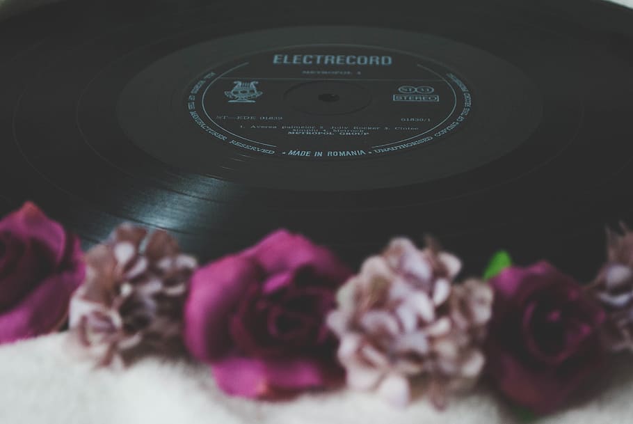 Floral Electrocord Vinyl Record Decor, bloom, blooming, blossom HD wallpaper