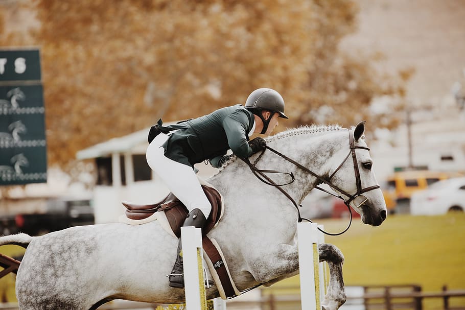 Person Riding Horse, action, athlete, daytime, equestrian, helmet HD wallpaper
