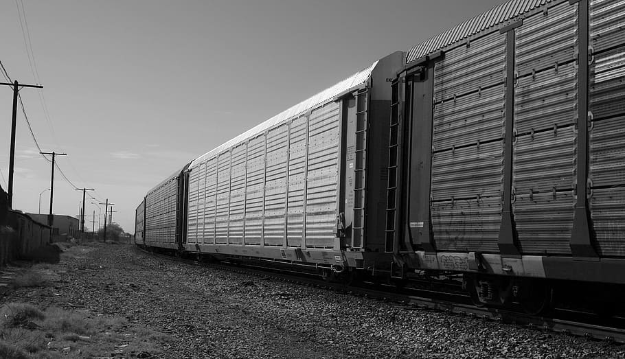 train, cargo, tracks, metal, travel, graffiti, rails, railroad HD wallpaper