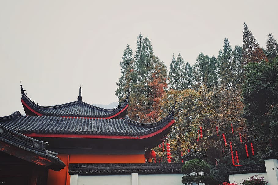 temple surrounded by trees, plant, architecture, building, worship HD wallpaper