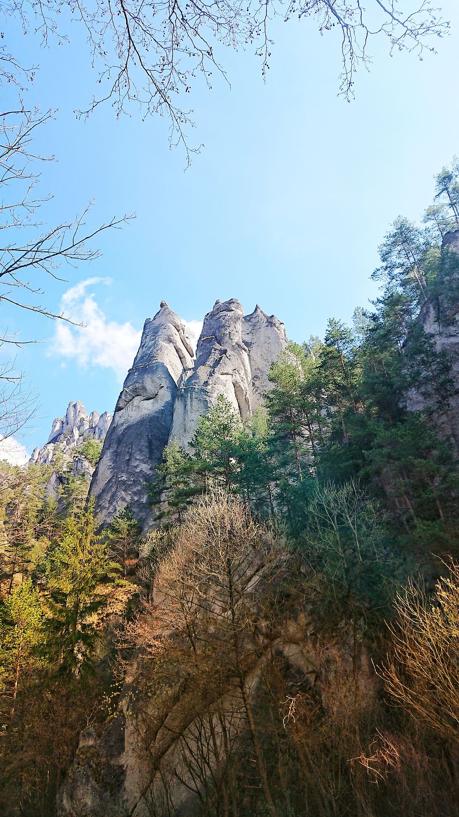 nature, forest, tourism, view, the sky, travel, attractions HD wallpaper