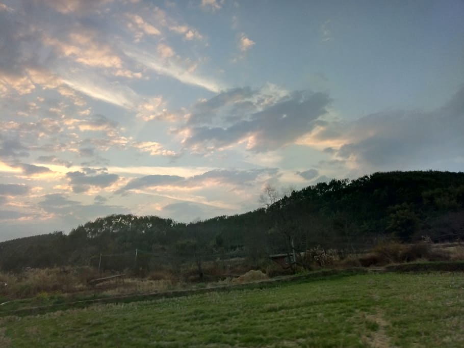 sky, cloud - sky, environment, landscape, nature, tree, tranquil scene HD wallpaper