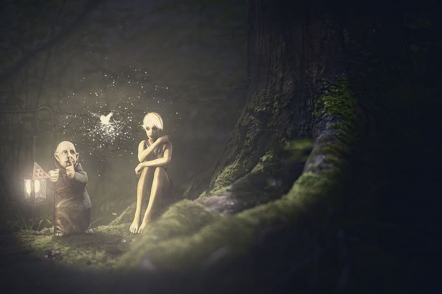 composing, elves, forest, lantern, fairytale, fantasy, fee HD wallpaper