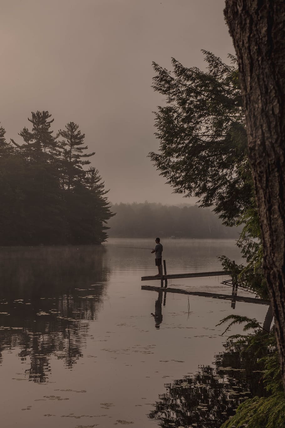 canada, parry sound, tree, plant, water, lake, nature, sky HD wallpaper