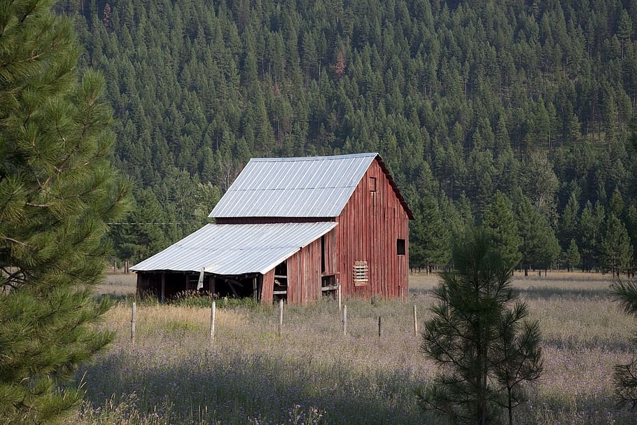 barn, wooden, keep, construction, architecture, jungle, forest HD wallpaper