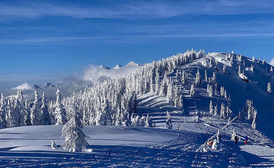 nature, outdoors, mountain, ice, snow, person, human, plant HD wallpaper