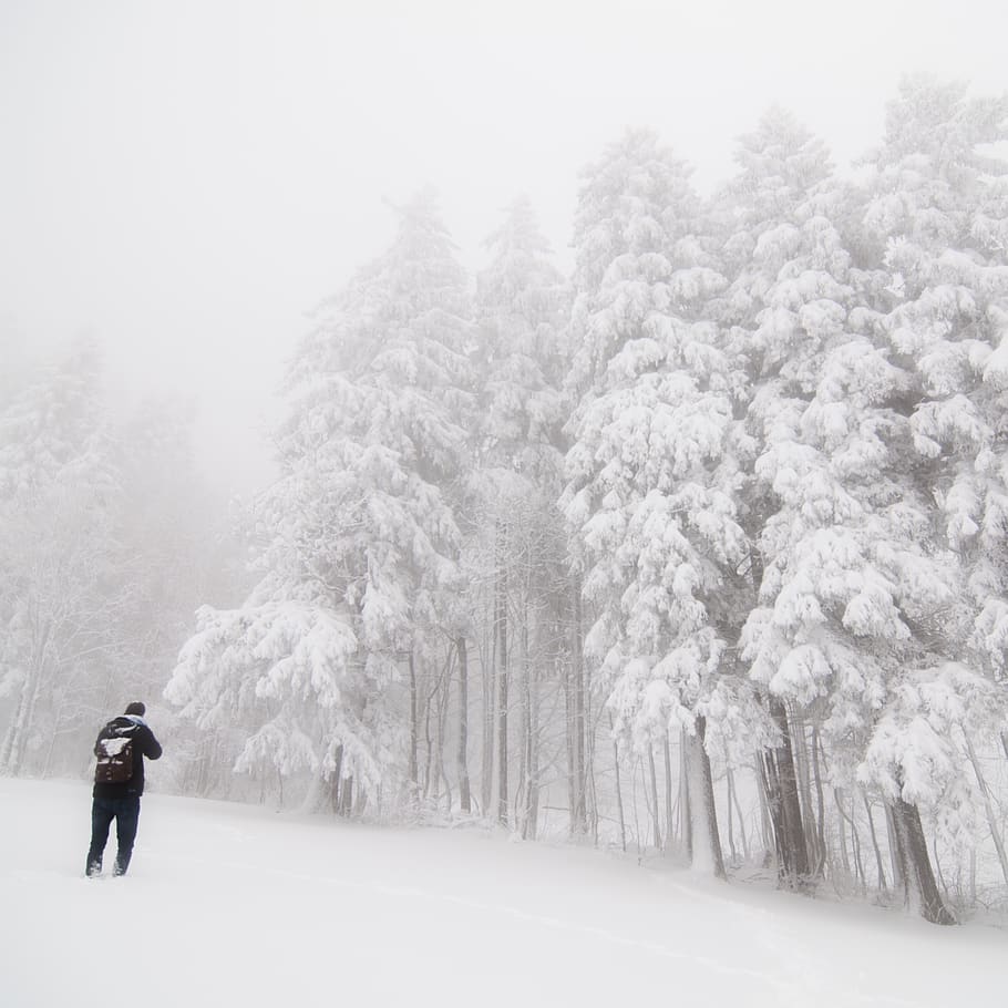 winter, exposure, natural, white, forest, adventure, person HD wallpaper