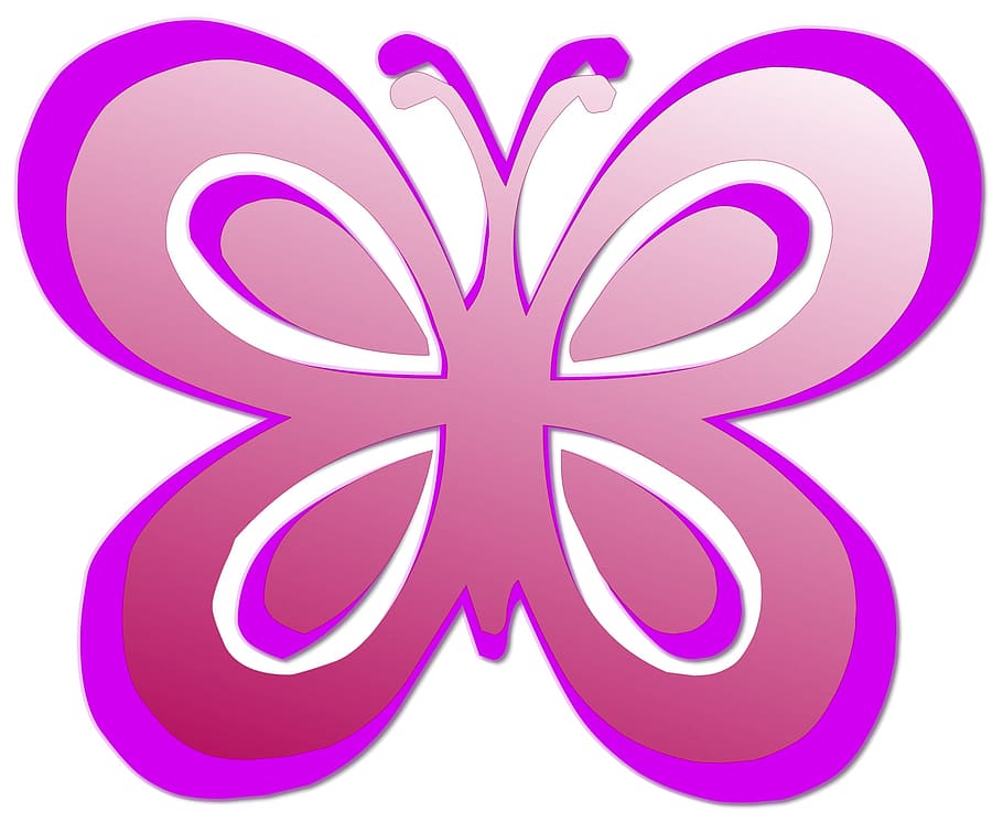 fly, butterfly, nature, graphics, pink color, purple, shape HD wallpaper