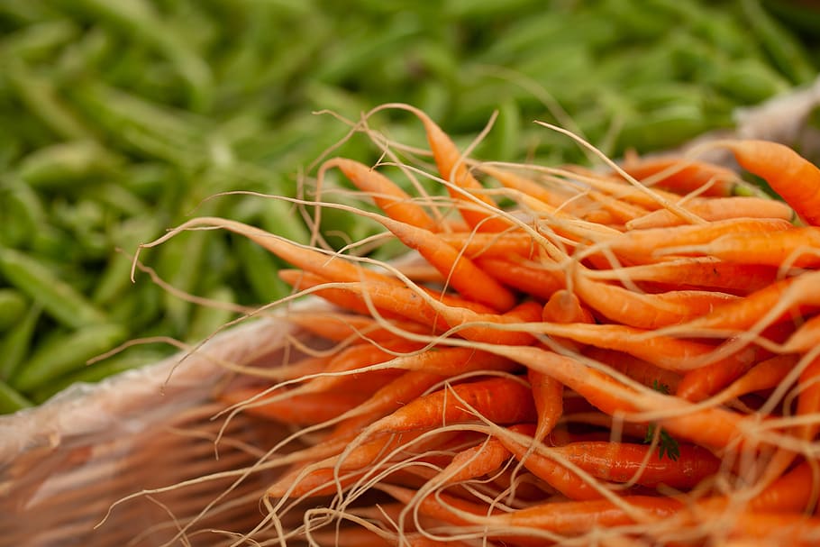 orange carrots, vegetable, food, food and drink, close-up, freshness HD wallpaper