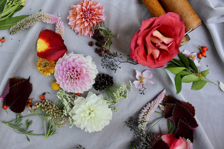 assorted-color cluster flowers, flowering plant, beauty in nature HD wallpaper