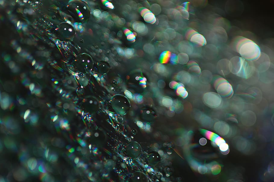 dropps, abstraction, macro, macro photo, detail, texture, selective focus HD wallpaper