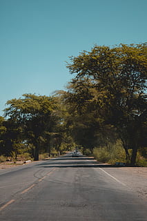 trees, street, highway, peru, piura, blue, skyblue, lightroom HD wallpaper