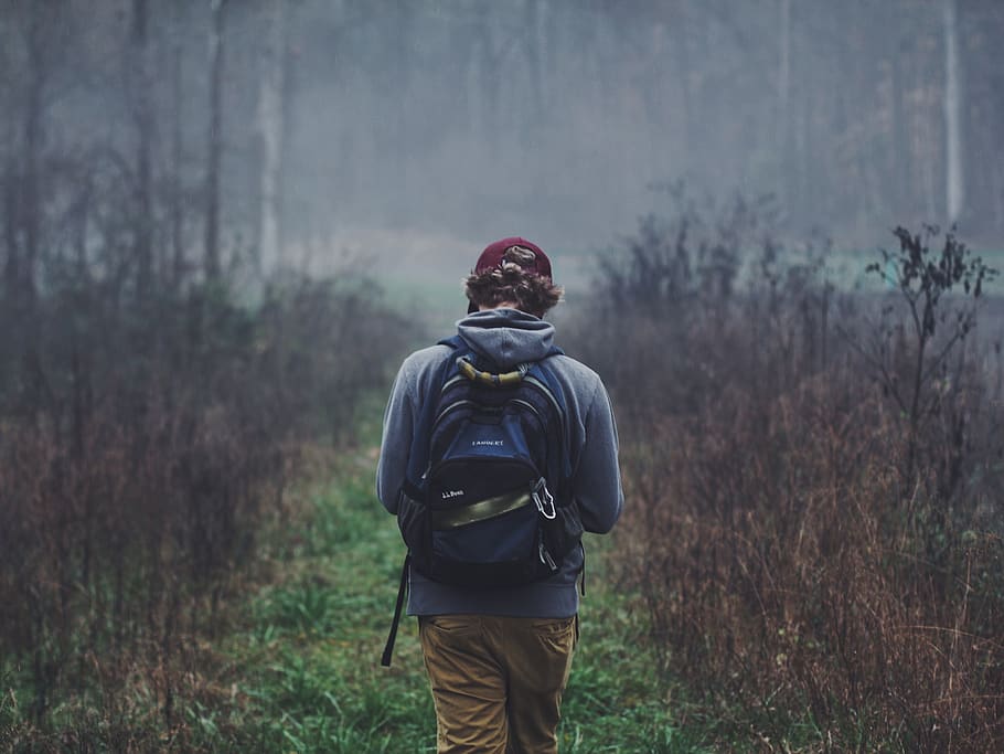 fog, trees, hat, person, swamp, explore, patagonia, walking HD wallpaper