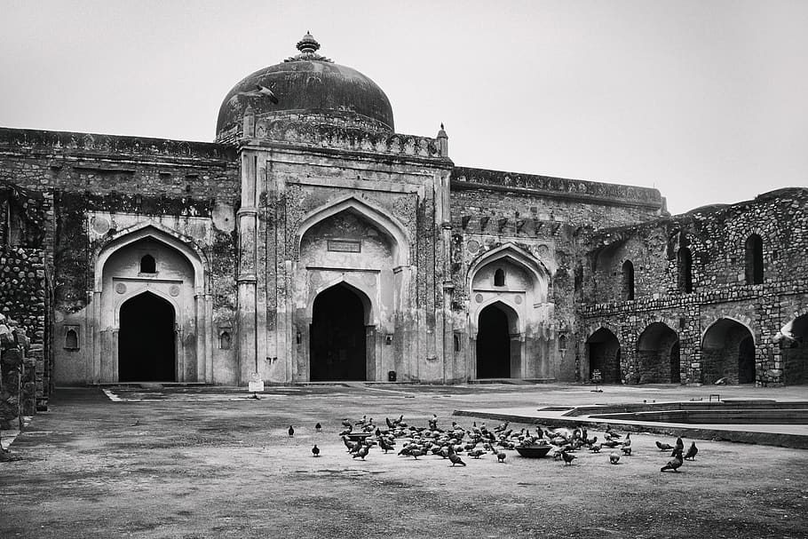 india, new delhi, black, white, architecture, bird, outdoor