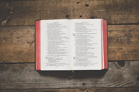 white book, bible, open, table, wood, wooden plank, rustic desktop HD wallpaper