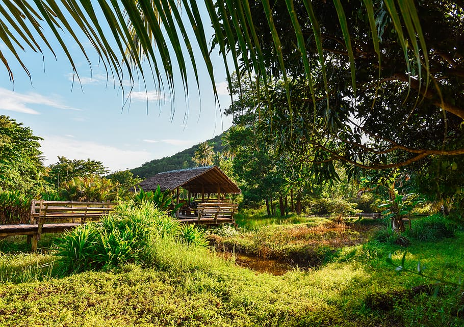 Landscape Photography of Hut Surrounded by Trees, hawaii, nature HD wallpaper