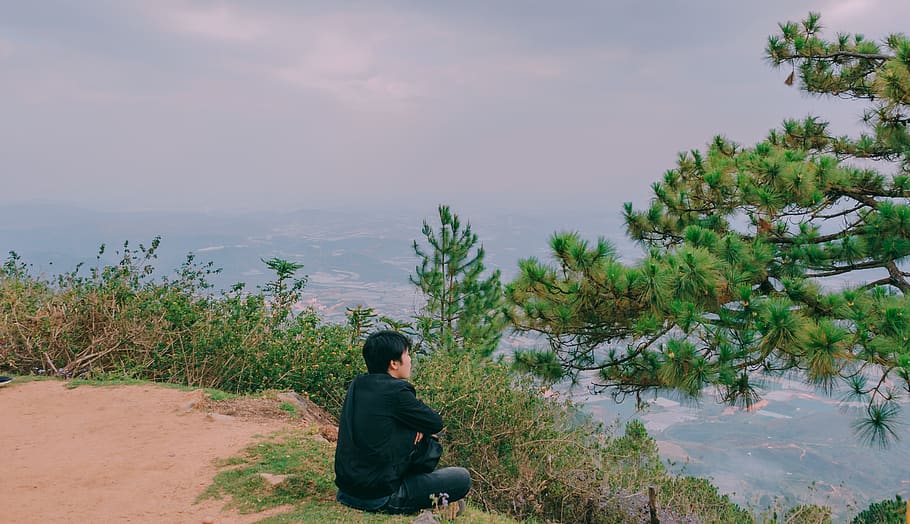 Person Sitting in Front of Green Tree, cliff, daylight, environment HD wallpaper