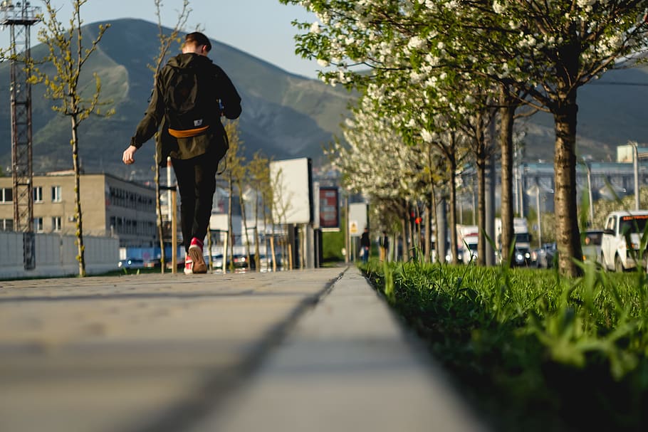 sakura, spring, flowers, blooming, city, urban, walk, person HD wallpaper