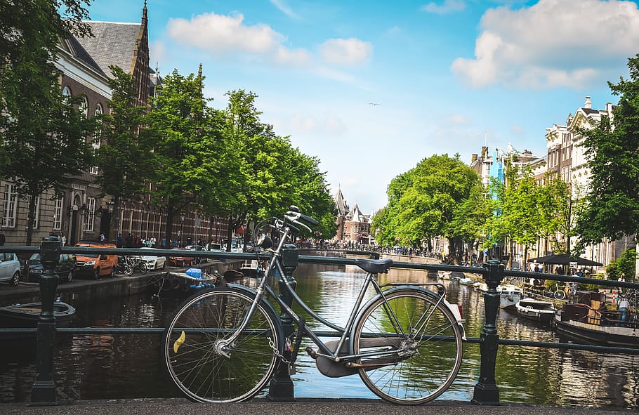 amsterdam, netherlands, bicycle, trees, canal, bike, river HD wallpaper