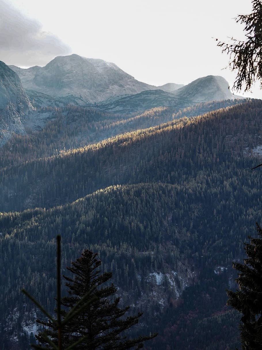 aerial view of trees, mountain, peak, forest, highlight, light ray HD wallpaper