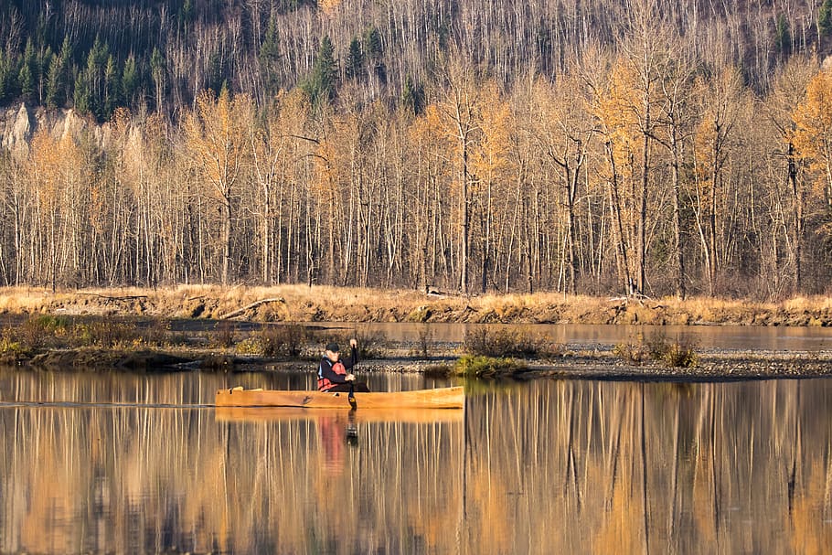 canoe, river, fall, water, paddle, lake, real people, reflection HD wallpaper