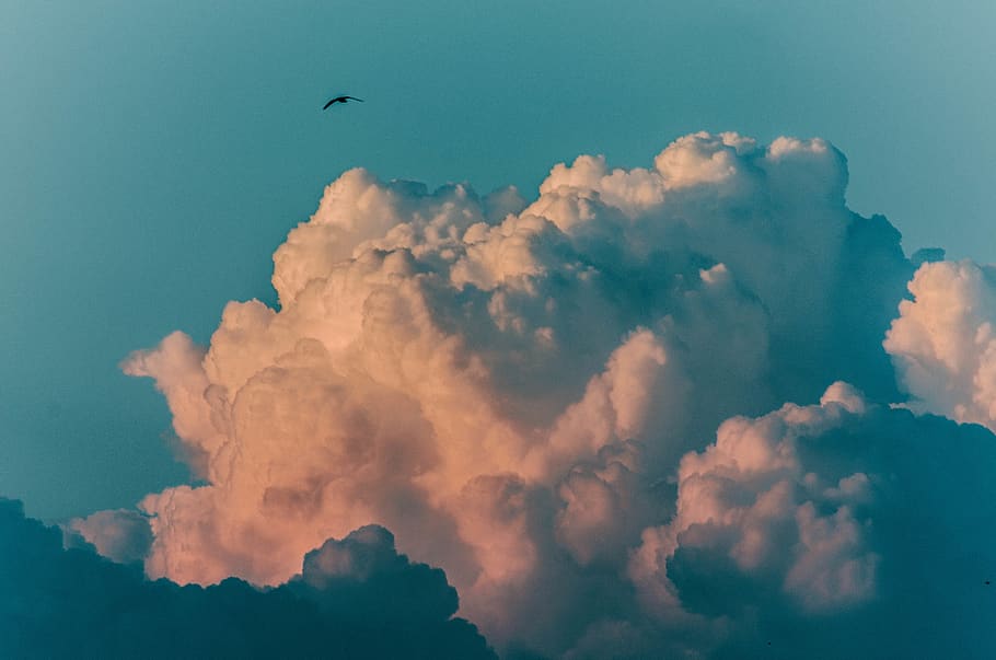 united states, milwaukee, seagull, cloud, clouds, cloudy, cloudscape, HD wallpaper