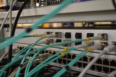 white ethernet switch, cable, technology, network connection plug HD wallpaper