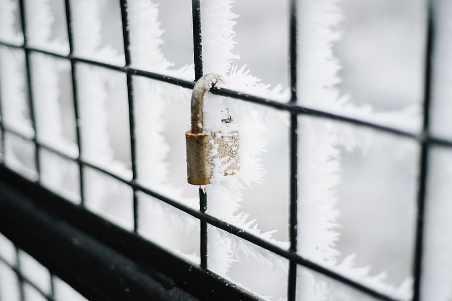 edmonton, canada, high level bridge, winter, snow, frost, metal HD wallpaper