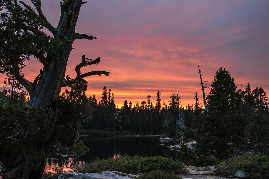 Body of Water Surrounded by Trees, beautiful view, clouds, colors HD wallpaper