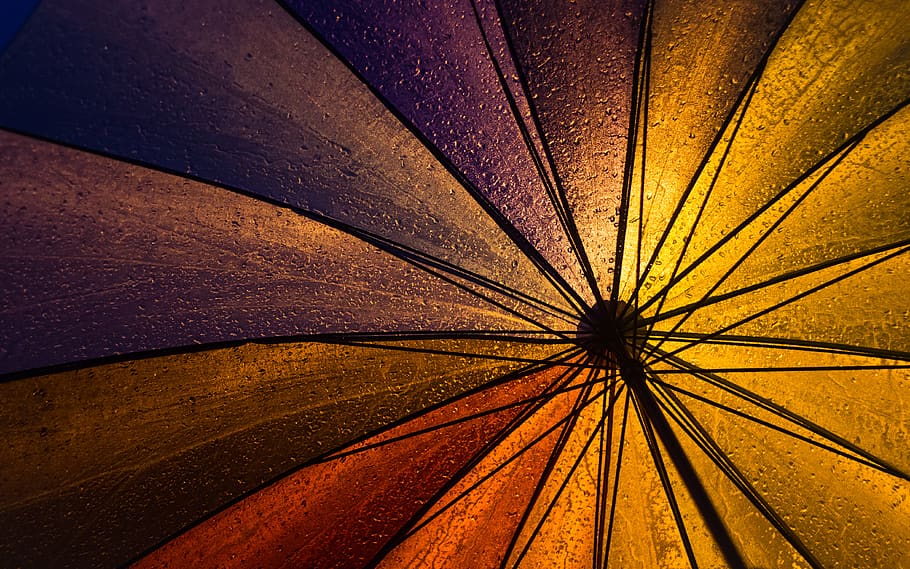 india, bengaluru, amruth pillai, under the umbrella, droplets, HD wallpaper