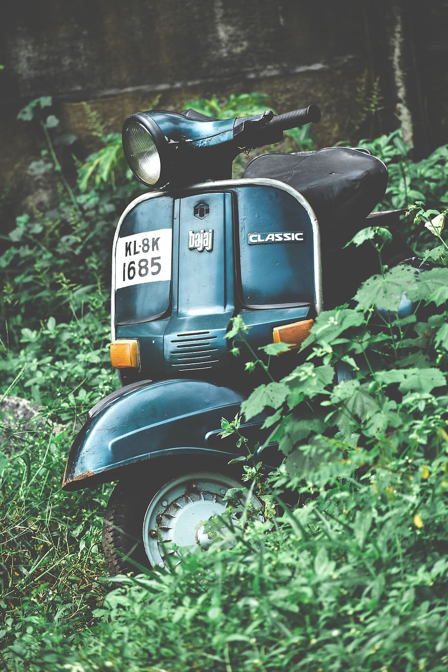 Photo of Parked Scooter in Woods, classic, forest, grass, motor HD wallpaper